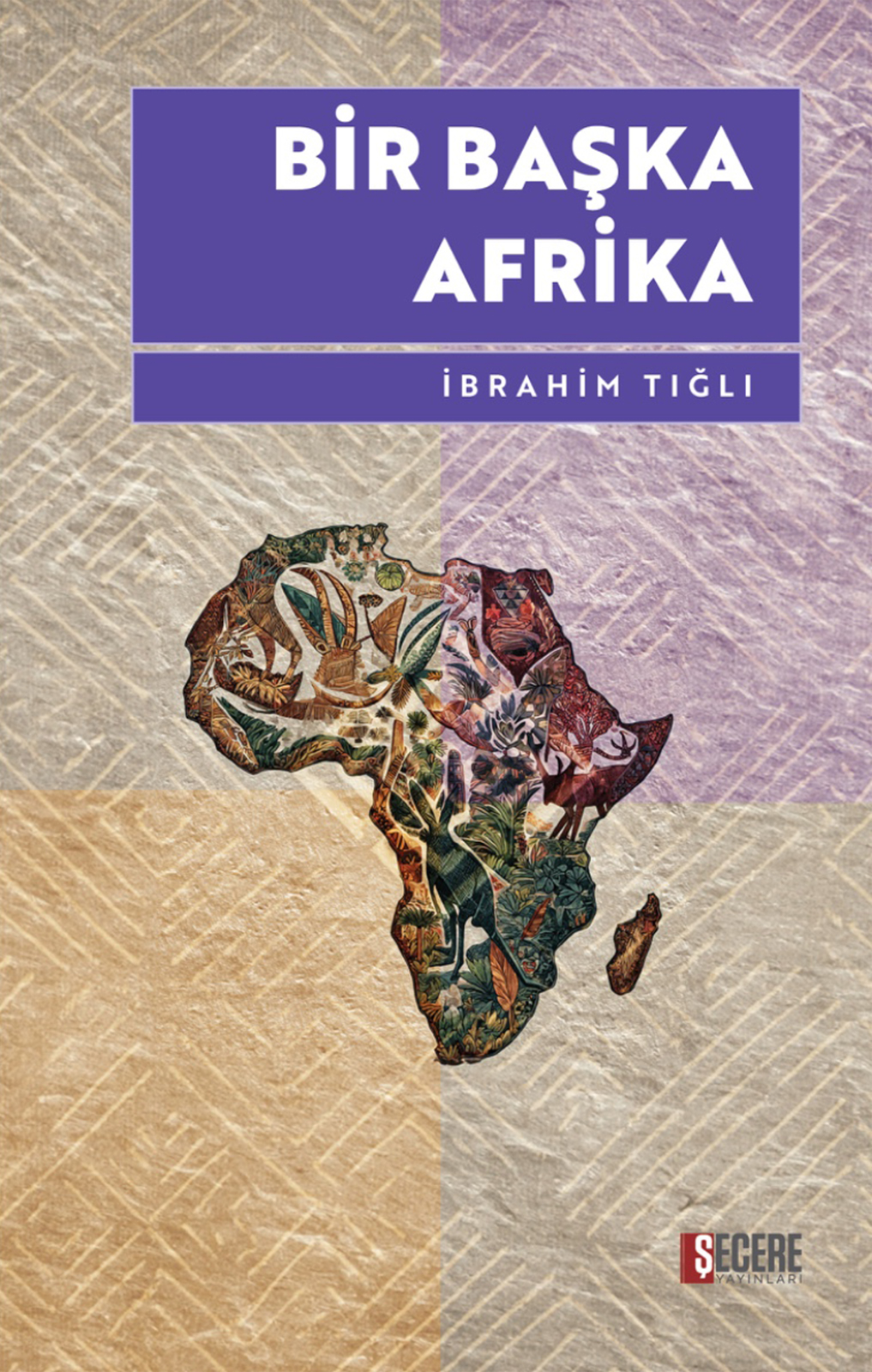 Bir Başka Afrika